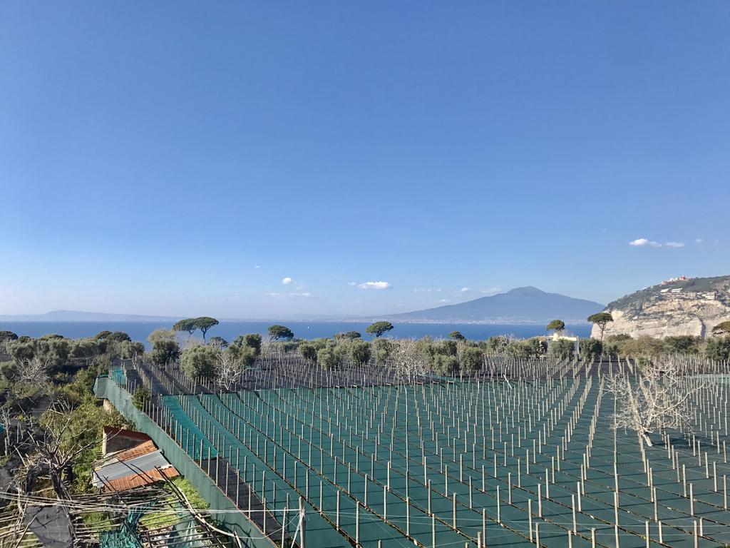 Estate4Home - Villa Lina Sant'Agnello Bagian luar foto
